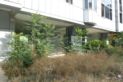 BALGAT CEYHUN ATUF KANSU CADDE ÜZERİNDE 500 m2DÜKKAN